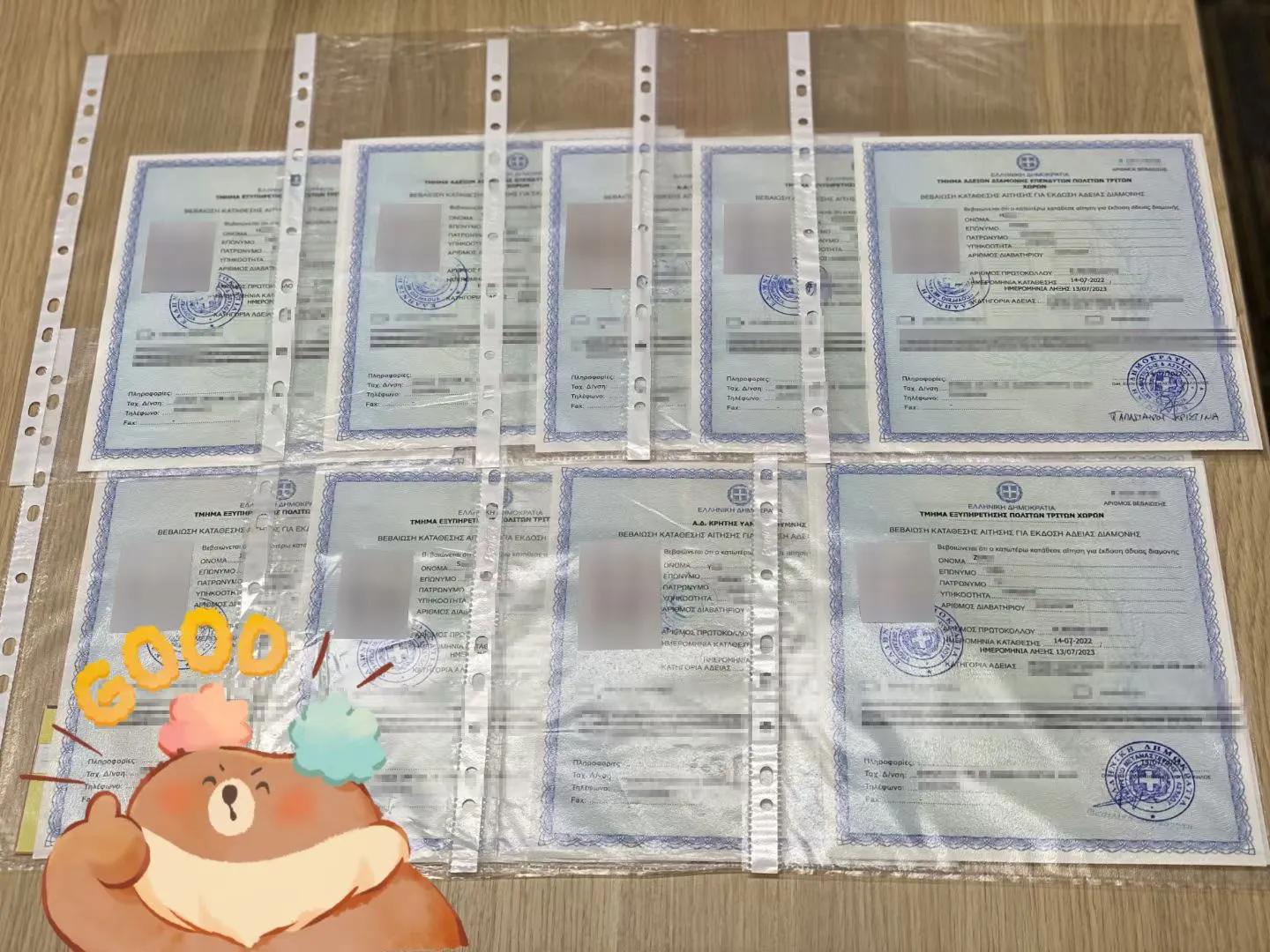 在希腊移民有哪些坑,希腊移民办理网上申请