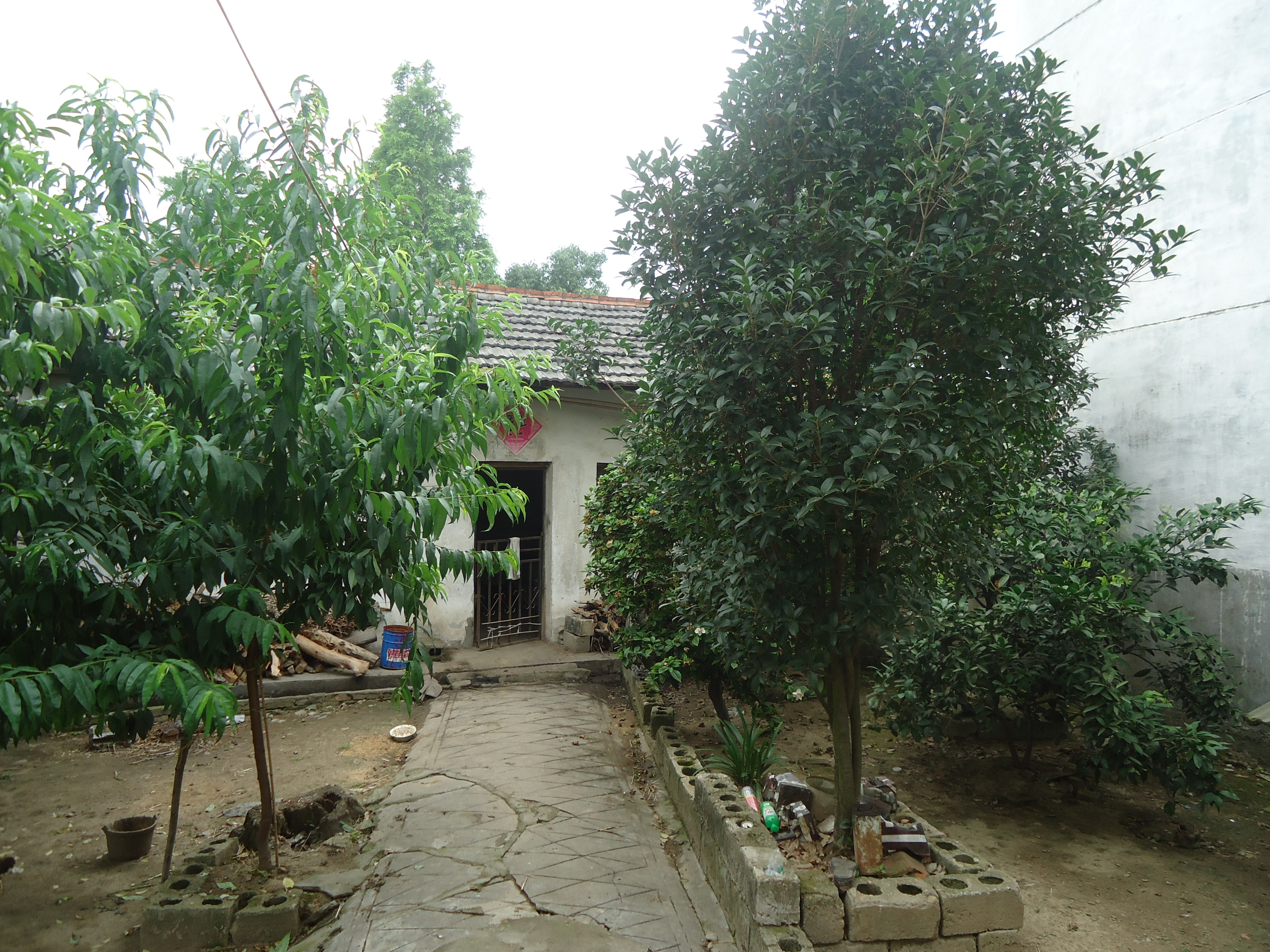 小村老人（11）：差点丢失幼子