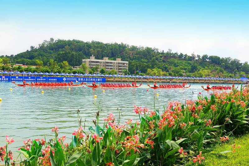 2024深圳龙舟比赛时间表及地点,深涌龙舟比赛