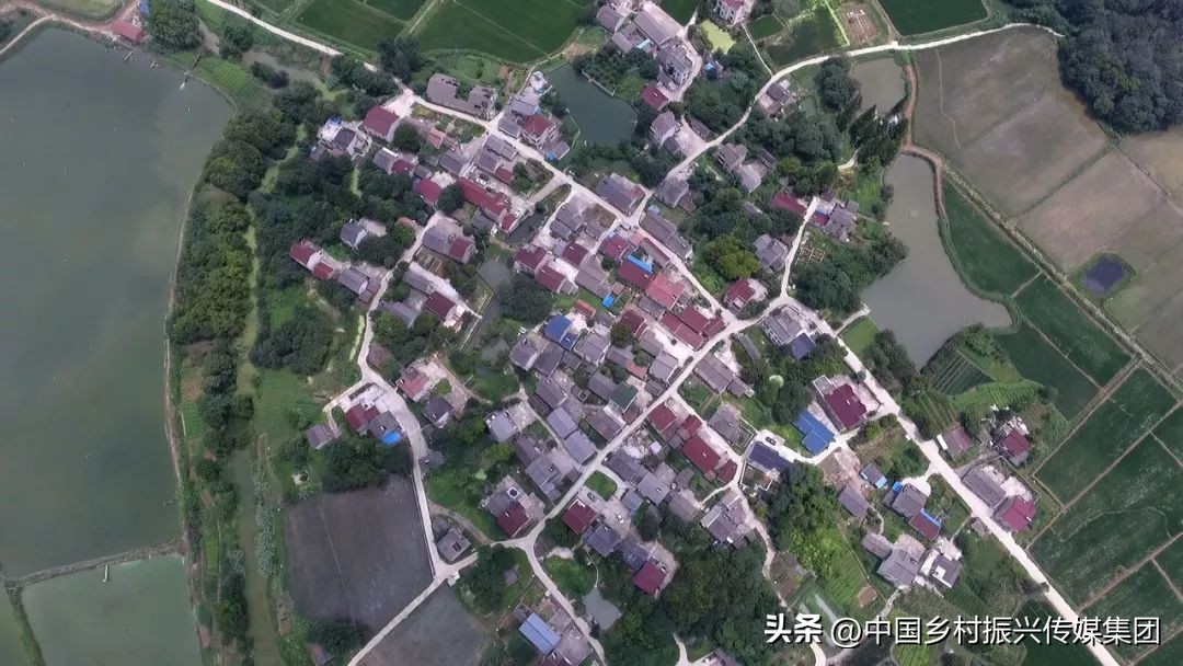 2023乡村振兴申报项目及补贴,振兴乡村国家有哪些资金扶持项目