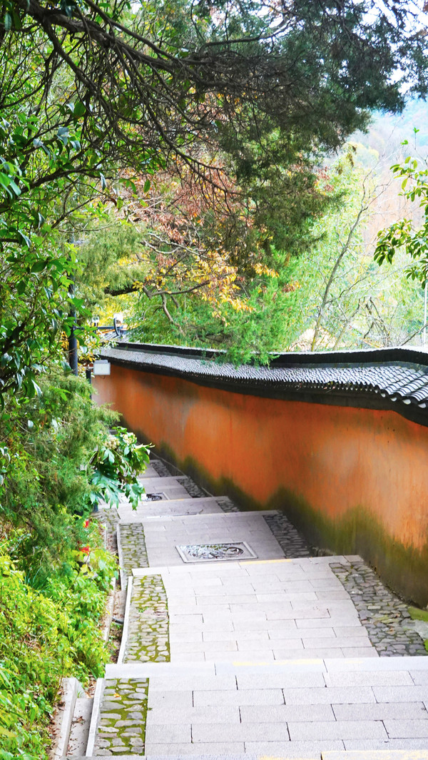 在江苏的“绿林仙海”中，寻找侠气与柔情