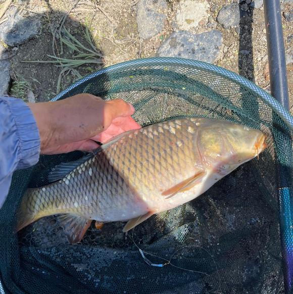 一男子钓鱼钓出了不明物体,钓到无眼鱼有什么说法