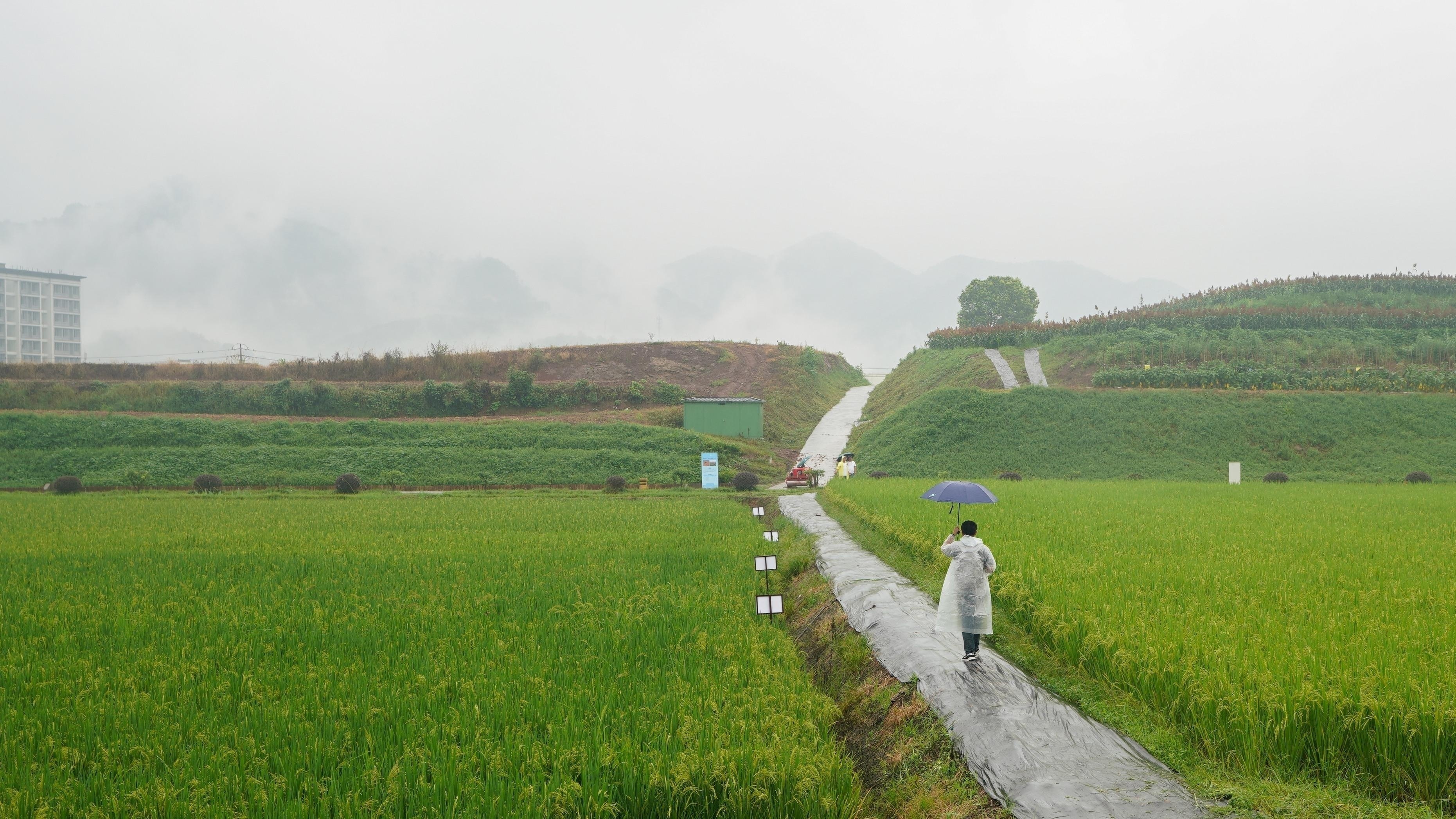 走进重庆现代农业高科技园区科技创新让农业“高大上”