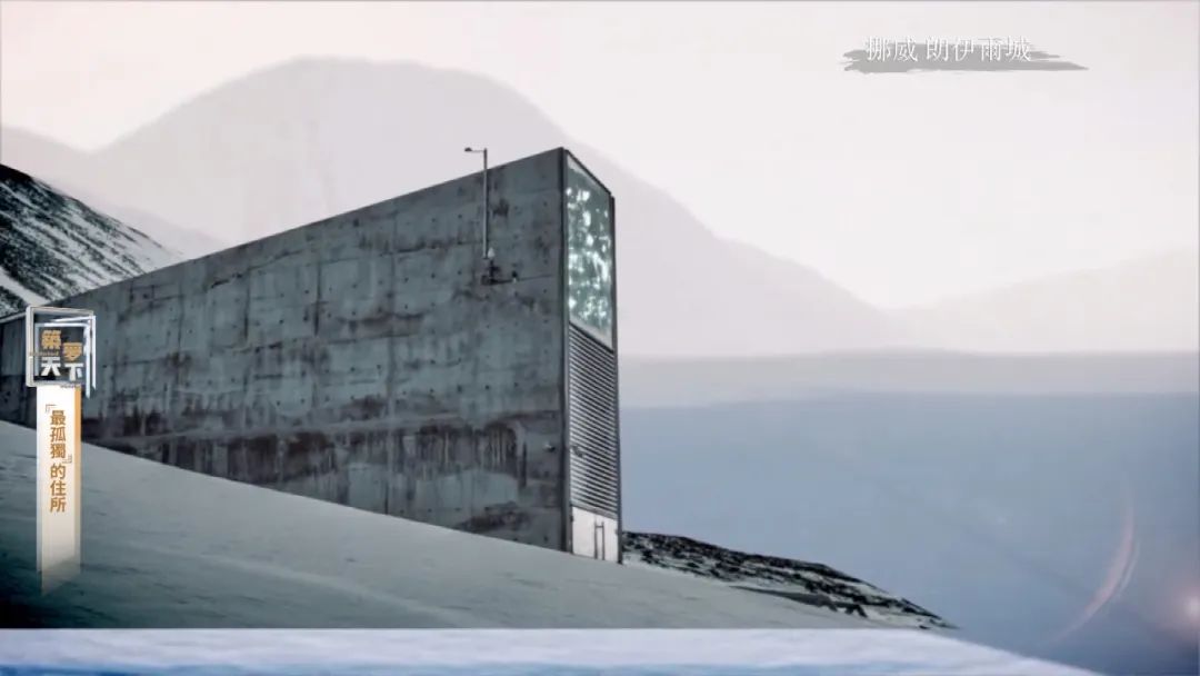 孤岛探秘试玩,孤岛探秘小说