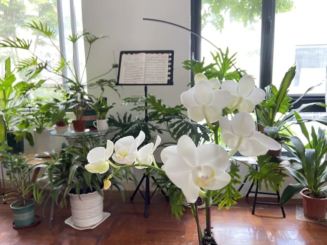 港卡办理攻略,办理港卡攻略