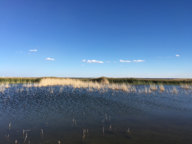内蒙古旅游攻略超详细,内蒙古旅游攻略详细