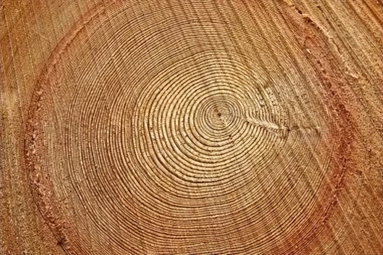 实木窗优缺点,实木窗大全