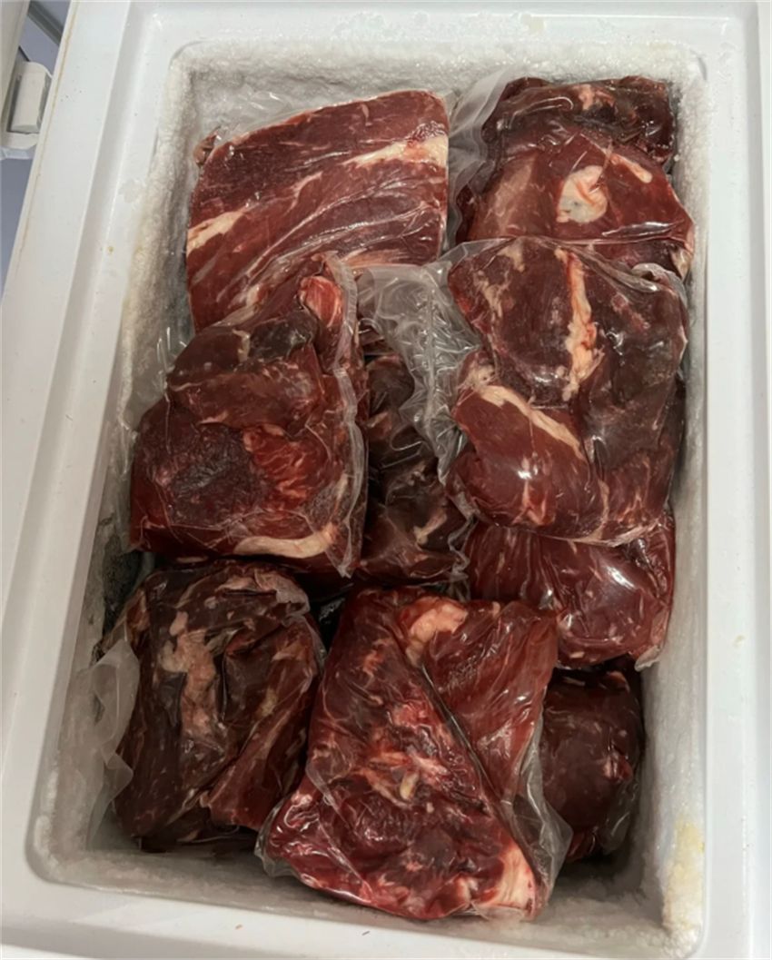 40度冰柜有必要买吗,十大不建议入手的冰柜