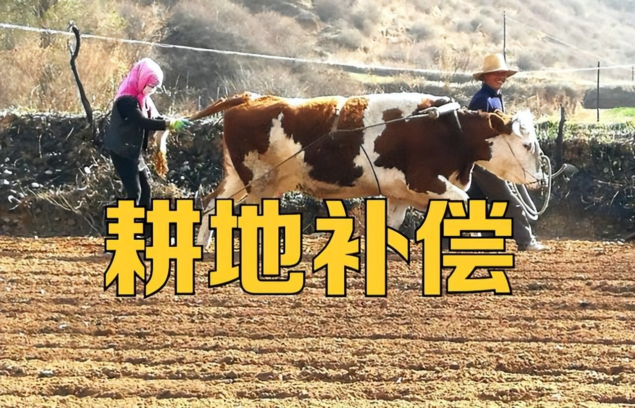 一亩地多少平方米怎么计算的,一亩地面积是怎么计算的