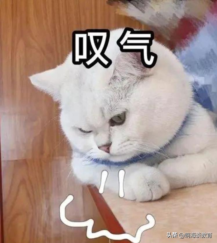 惊为天人，绵阳中考某生总分900考了874分，家长太高调对孩子不利