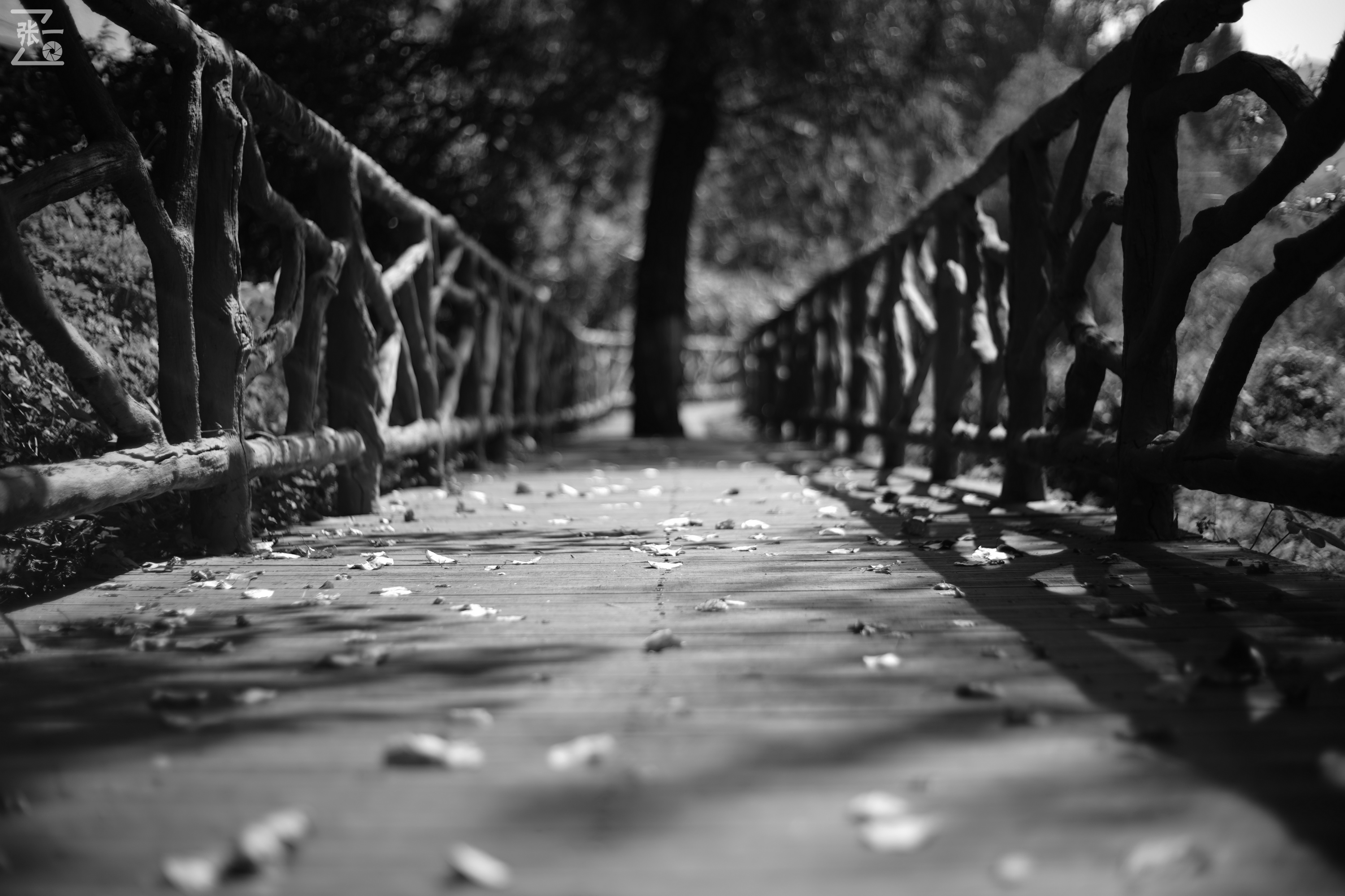 老镜头实拍,老镜头拍北京