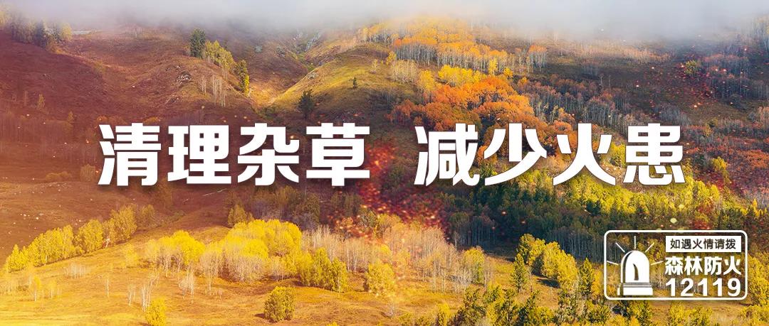 中考体育科目将逐步提高分值,中考新政策增加体育美育