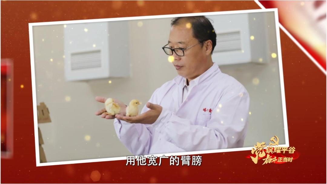 【*党**旗耀平谷奋斗正当时】微视频丨孙皓：播撒增收致富的“金种子”