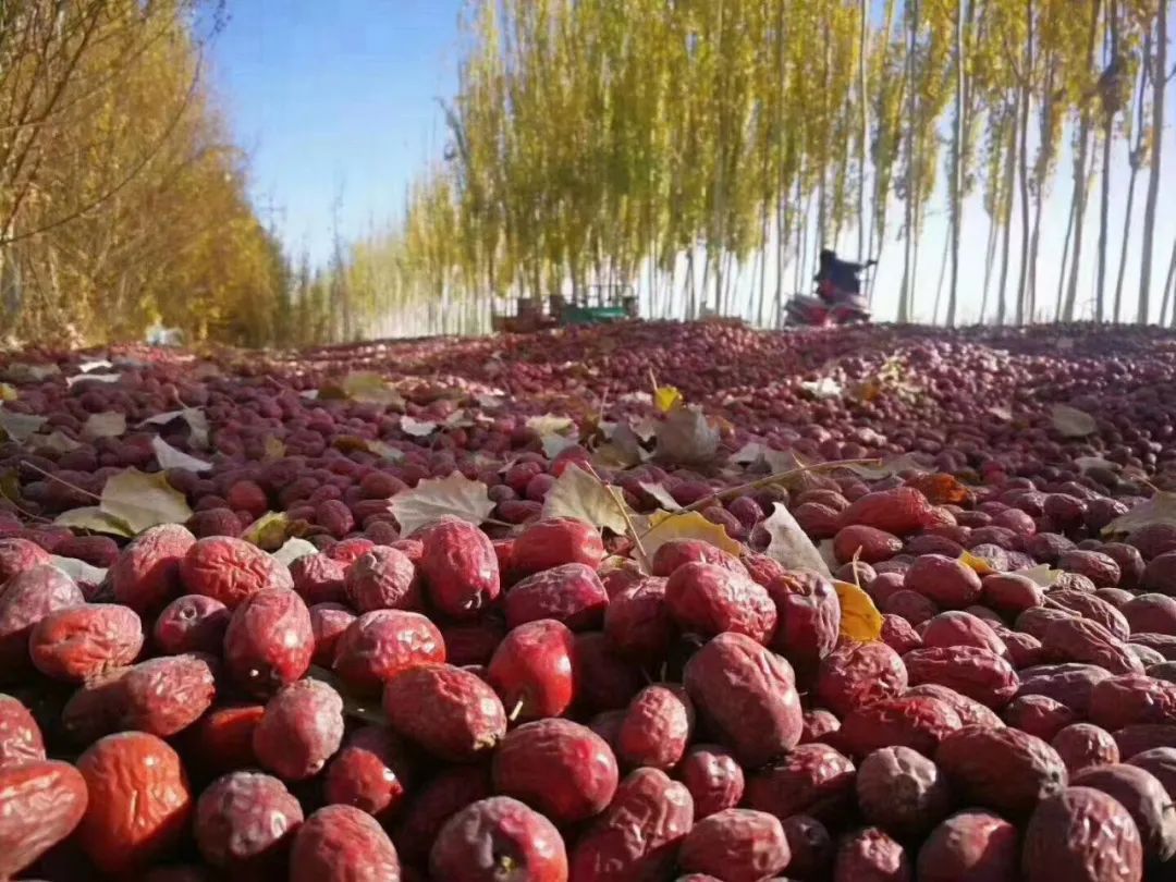 中国经济实力最强的10个县,中国经济实力第一县