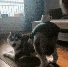 “24岁的女友发育成这样算正常吗？”哈哈哈朋友都说她是我兄弟！