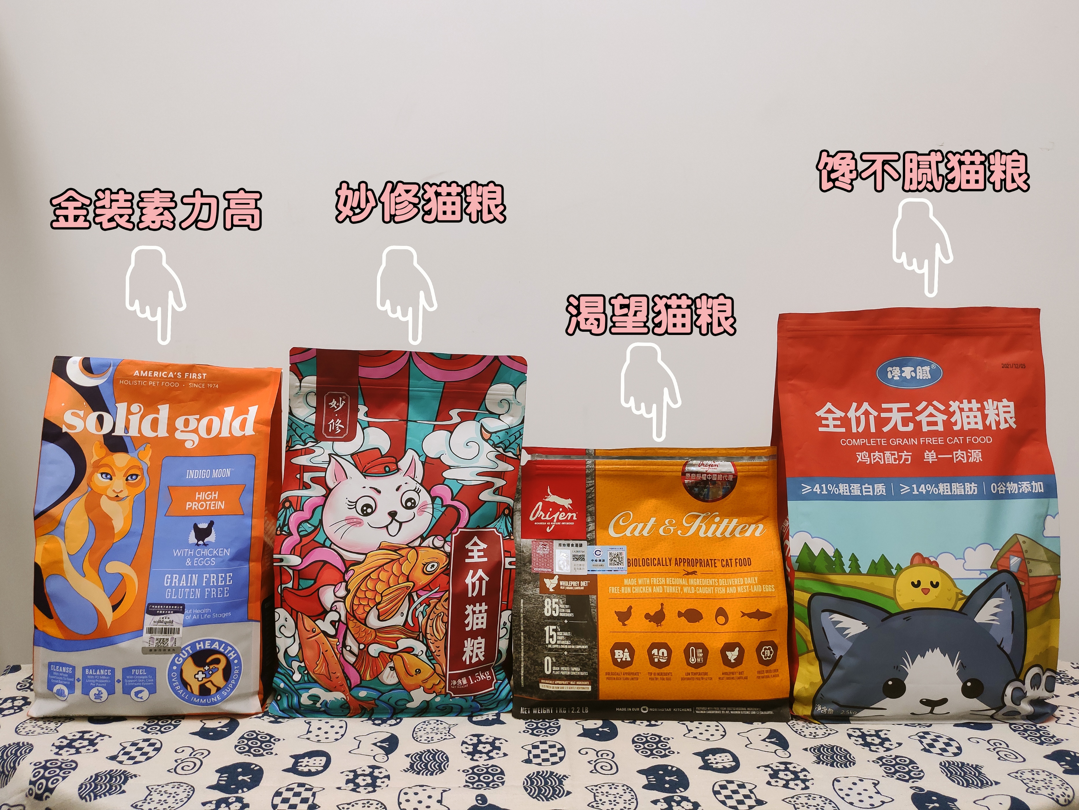 买英短猫,英短和家猫串出来的猫