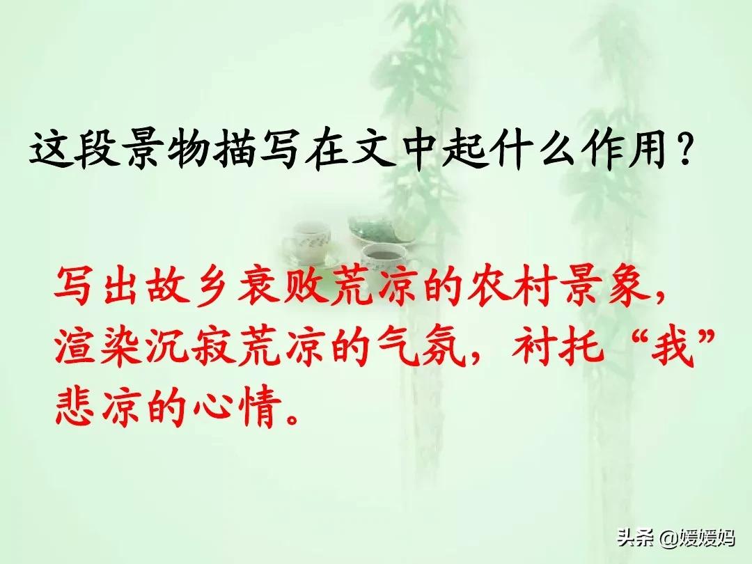 九年级上册语文第15课故乡预习,语文书人教版九上故乡ppt