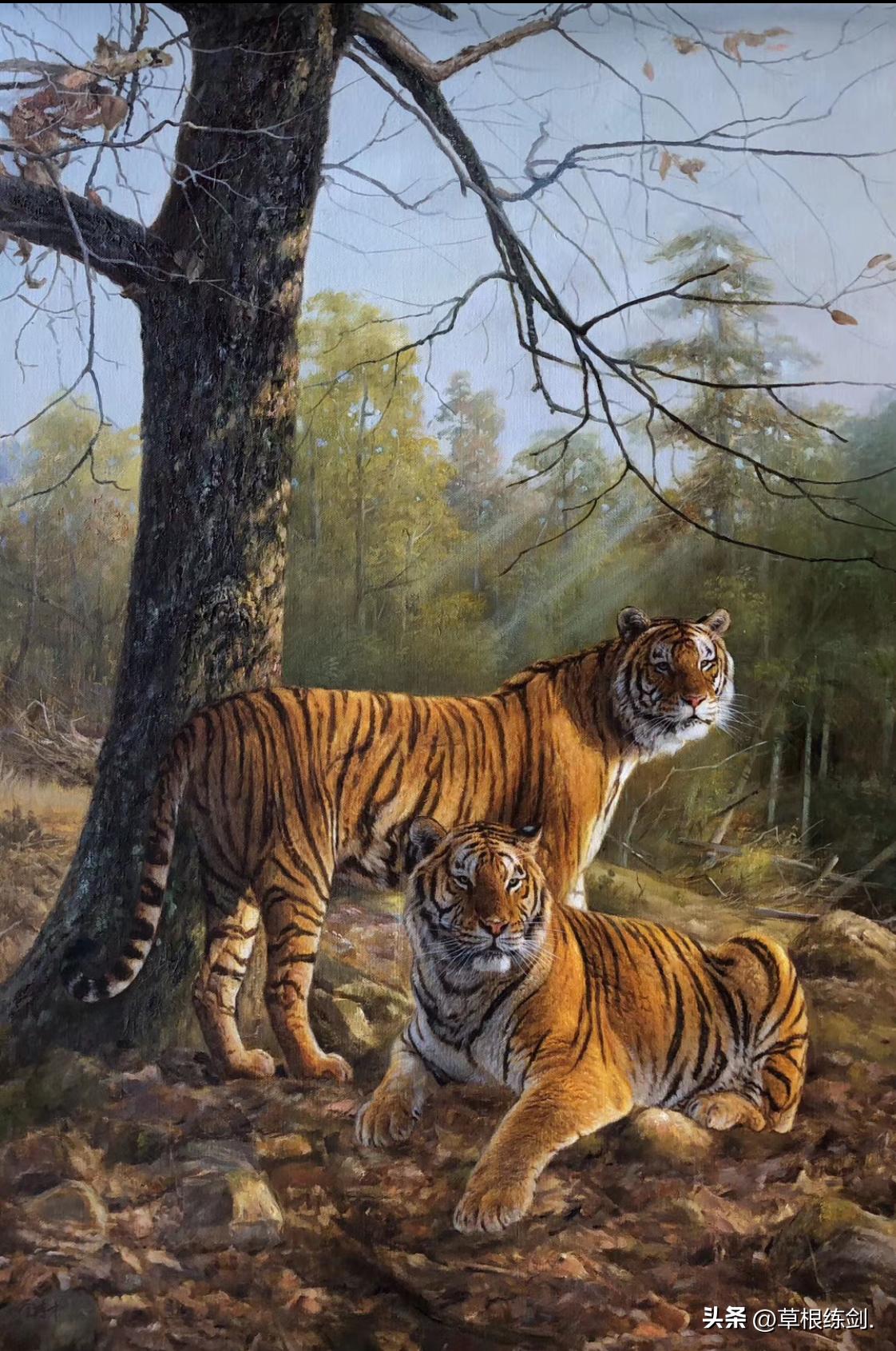 网易新浪头条及部分网络平台对纪实自传体回忆录《草根春秋》评论