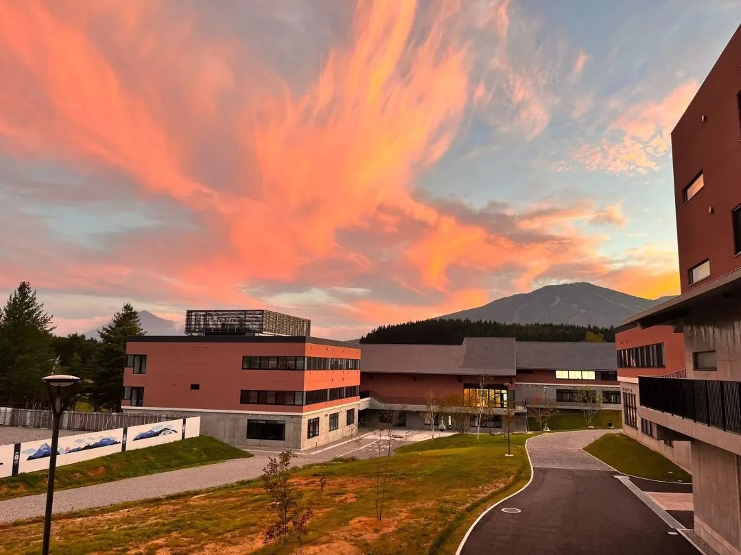 让孩子在大自然中摸爬滚打、蓬勃生长,这所日本的学校不一般