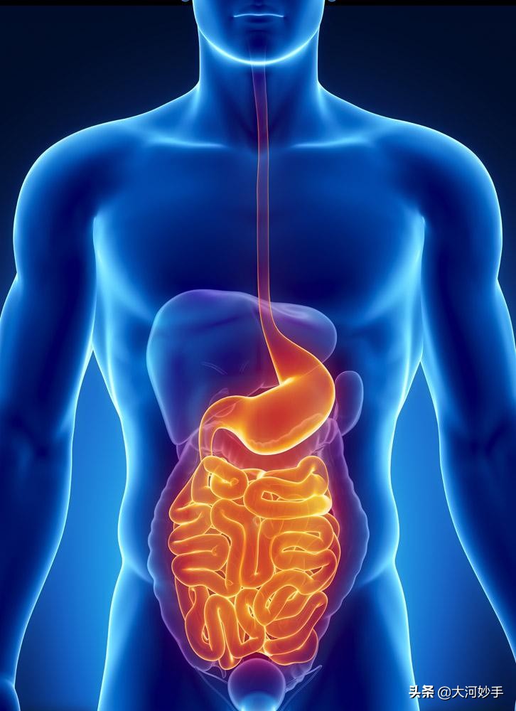 身体实用小秘诀,司马懿谈诸葛亮身体健康