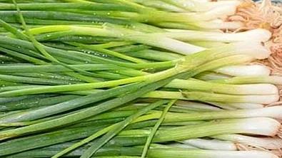 生活小妙招面包发霉了怎么办,面包没过期发霉了怎么处理