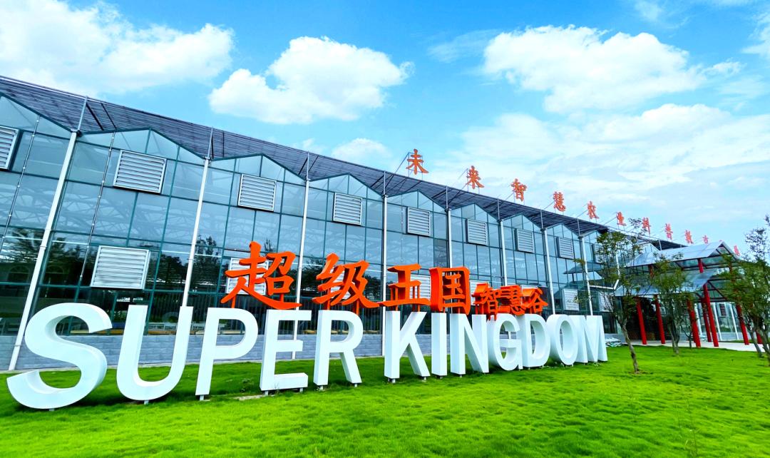 合肥五一旅游超全攻略,合肥五一出游攻略