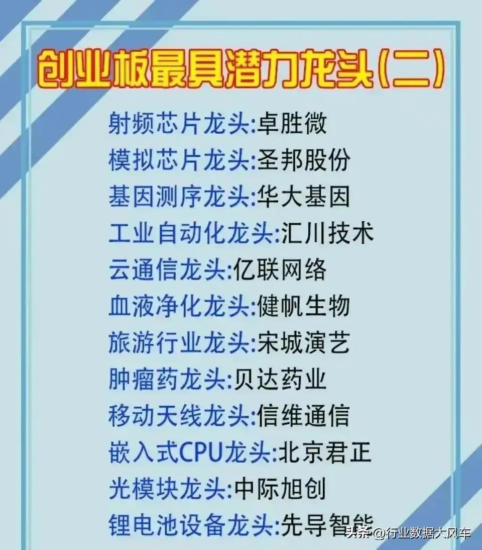 创业板细分龙头公司一览表,与创业板指数有关的板块有哪些