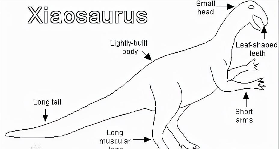 恐龙立体书科普恐龙,恐龙科普全集