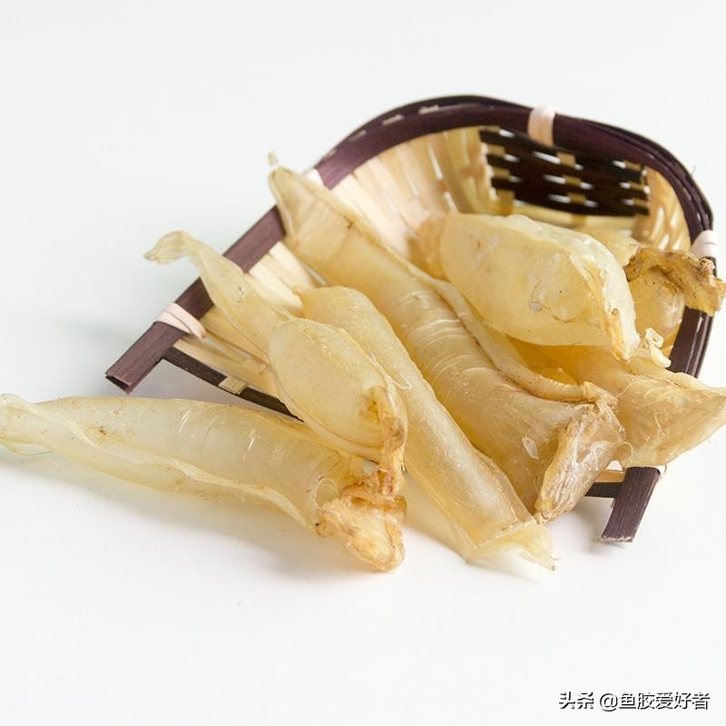 最全鱼胶品种大全,目前最好的鱼胶品种