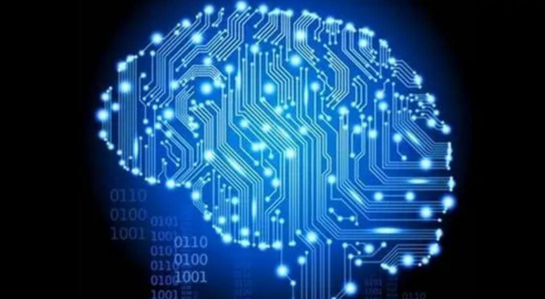 人类大脑为什么越来越厉害,你知道人类大脑的容量有多大