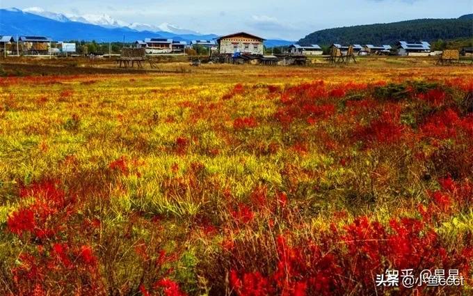 4月香格里拉一日游旅游攻略,大理丽江香格里拉旅游攻略