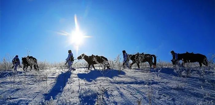 董夏青青人民文学,第八届鲁迅文学奖参评作品
