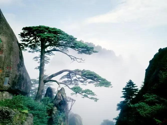 全国旅游景点最近免费政策,全国旅游景区2022年哪里免门票