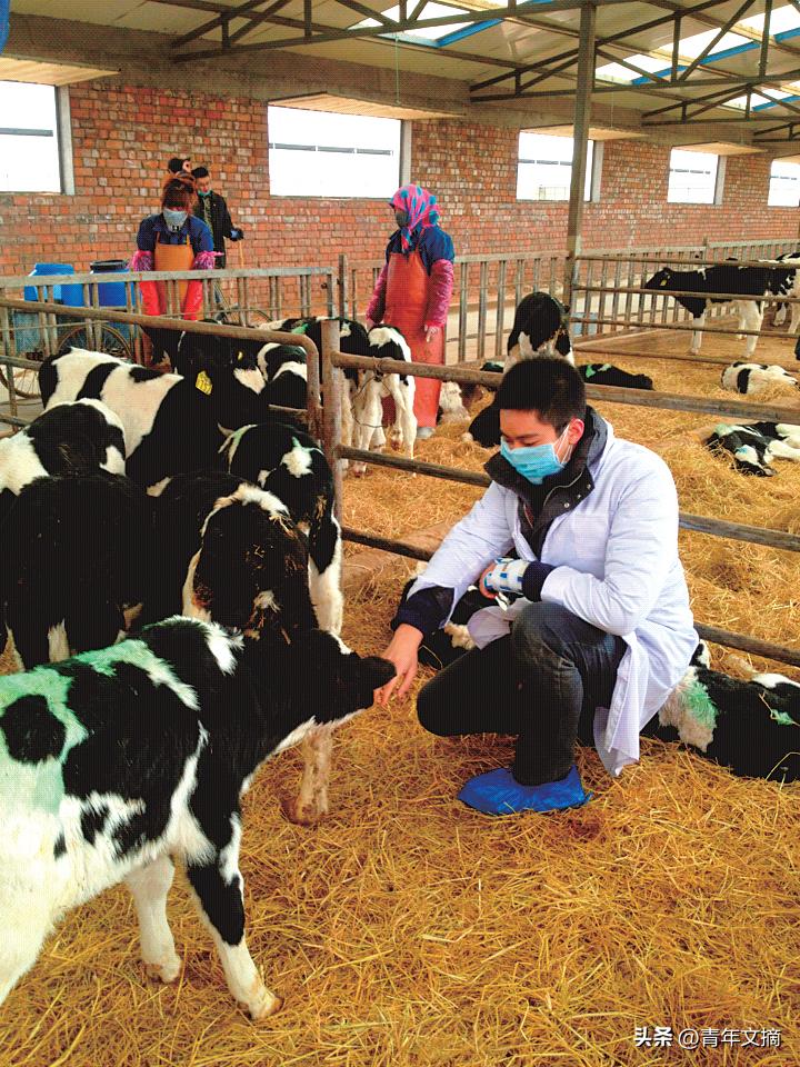 哈佛耶鲁高盛,我是如何一口气考上哈佛耶鲁