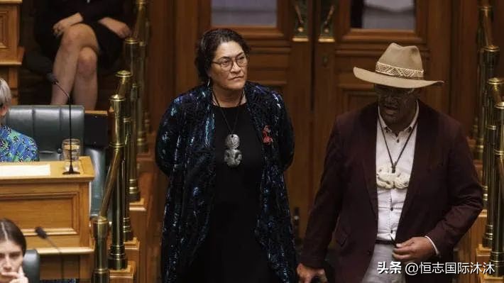 华人注意：新西兰未来可能会推这些新税，你中枪了吗？