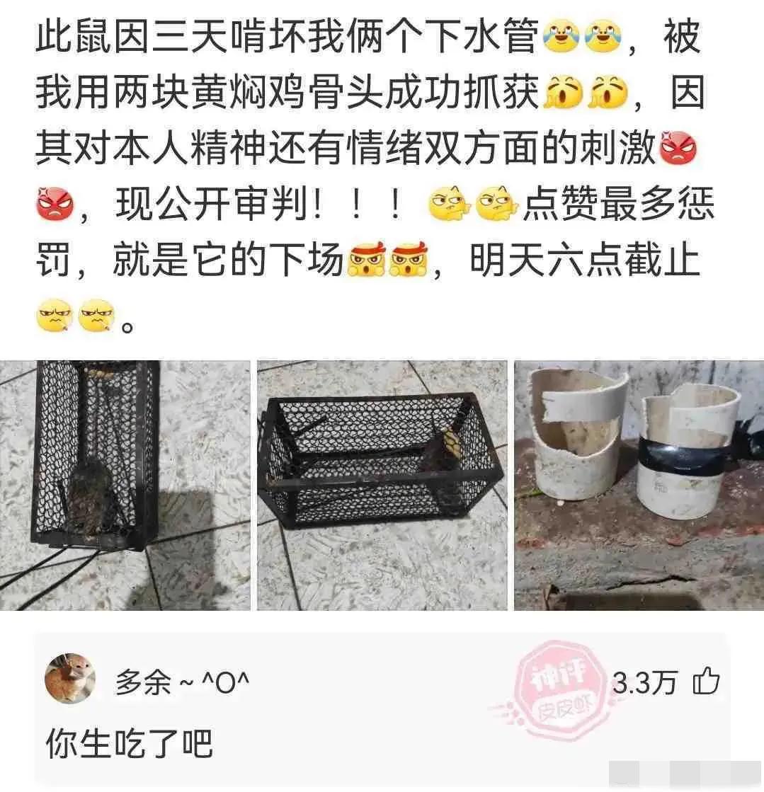 兄弟们爆笑合集,爆笑兄弟合集