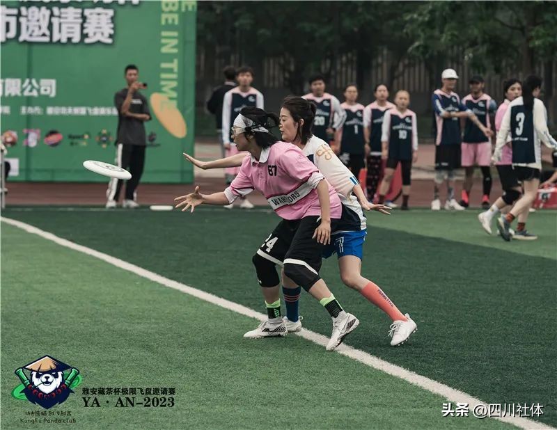 盘不落地，“勇”不放弃，飞盘邀请赛“飞临”雅安，来好客雅安把吃住行全安排上！