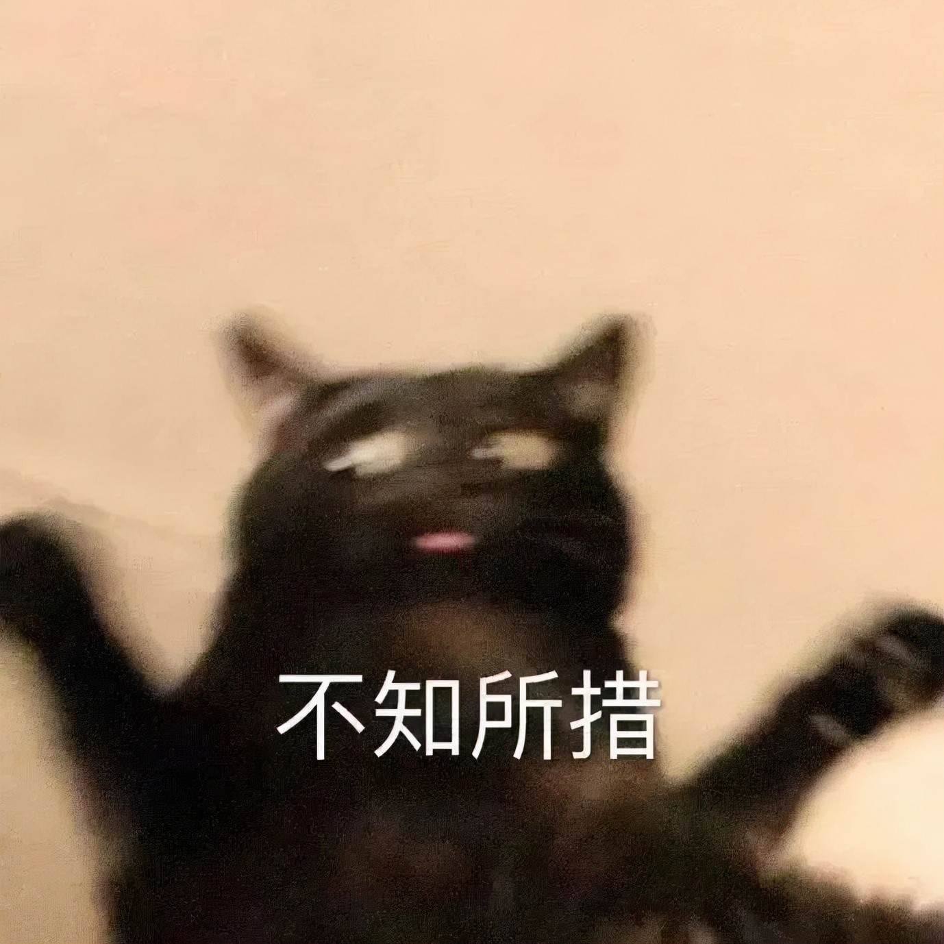 上海学生一身衣服价值127万,上海一学生穿100万衣服真的假的