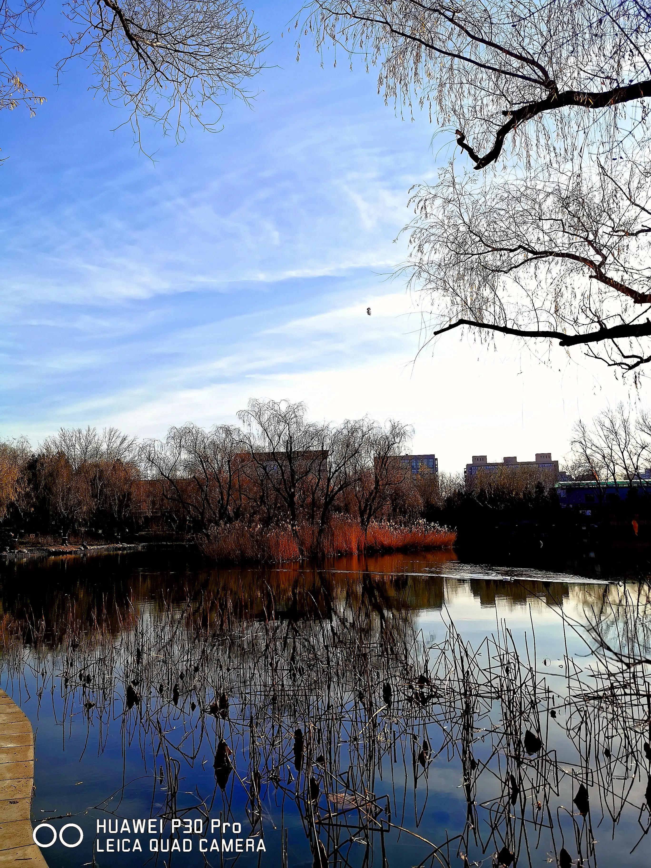 感觉如何产生,感觉如何解释