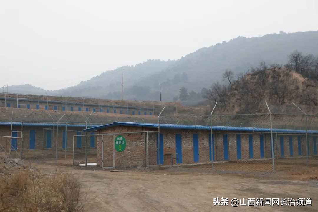 沁源县法中乡林麝养殖,沁源县沁河镇马森村林麝养殖