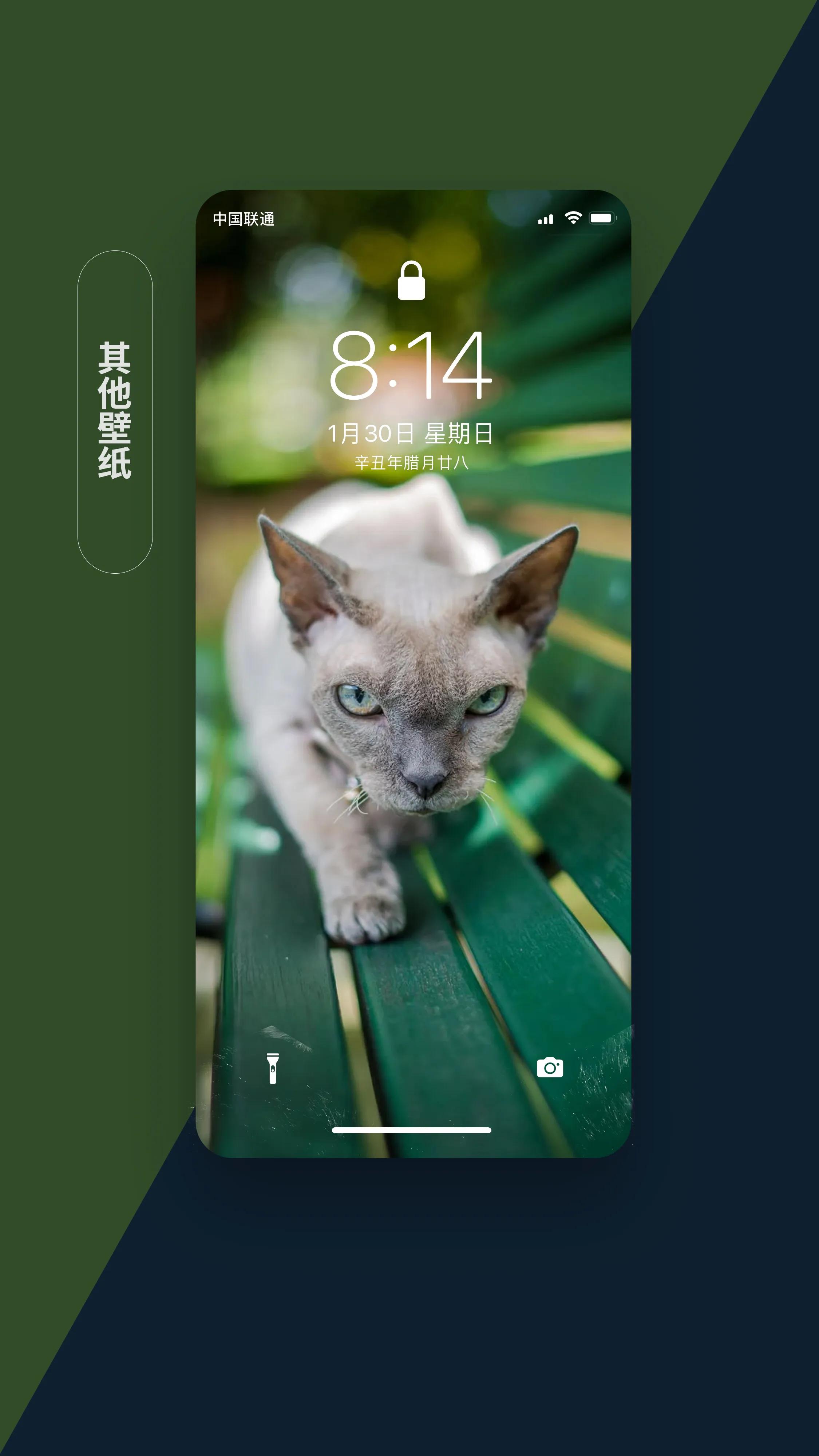 适合做手机app背景的壁纸,和手机软件融为一体的壁纸