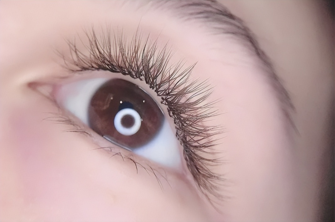 嫁接睫毛款式价格,嫁接睫毛怎么样更牢固持久