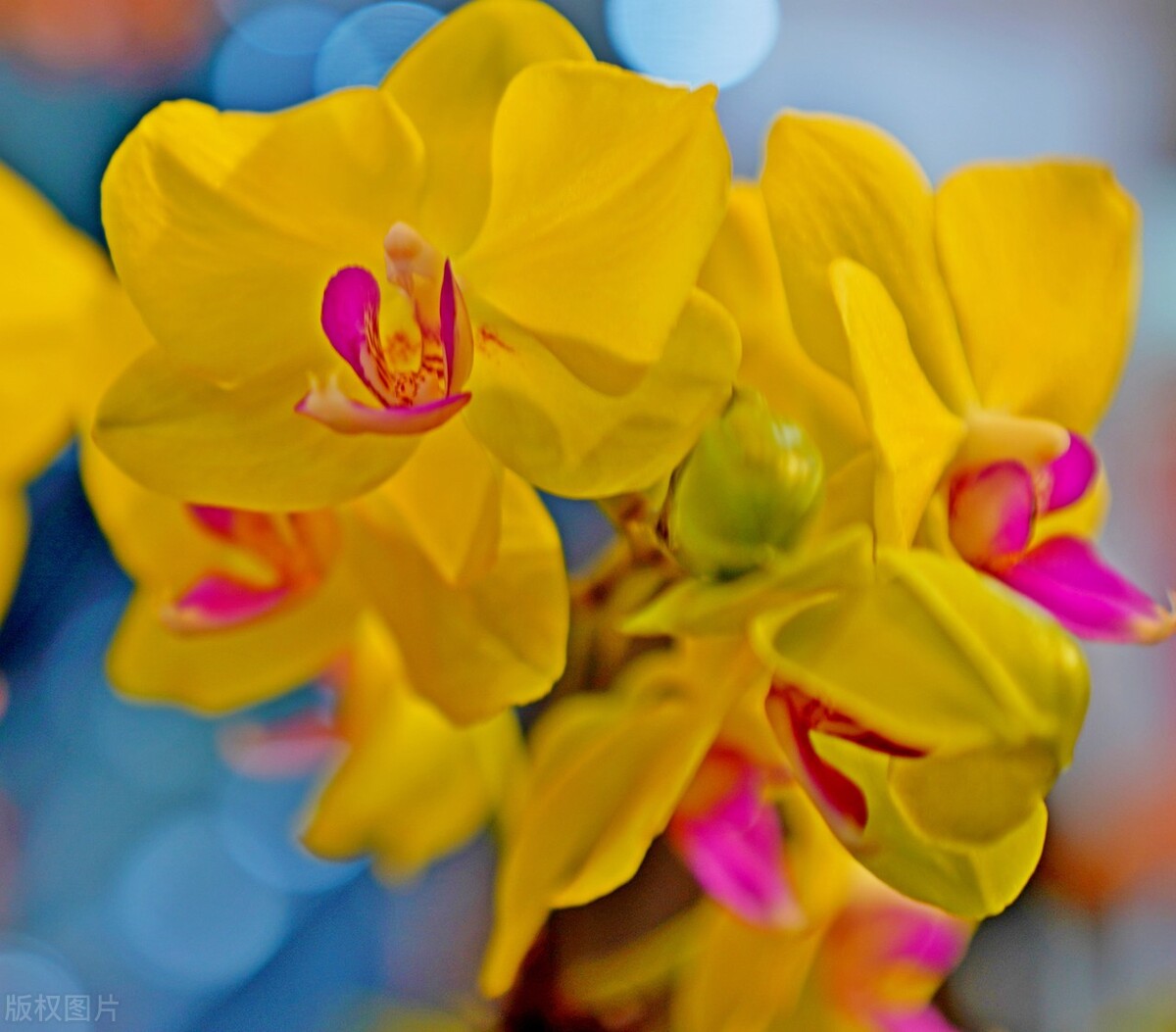 愿你今后的人生顺心顺意健康快乐,祝愿每个人都有幸福的生活状态
