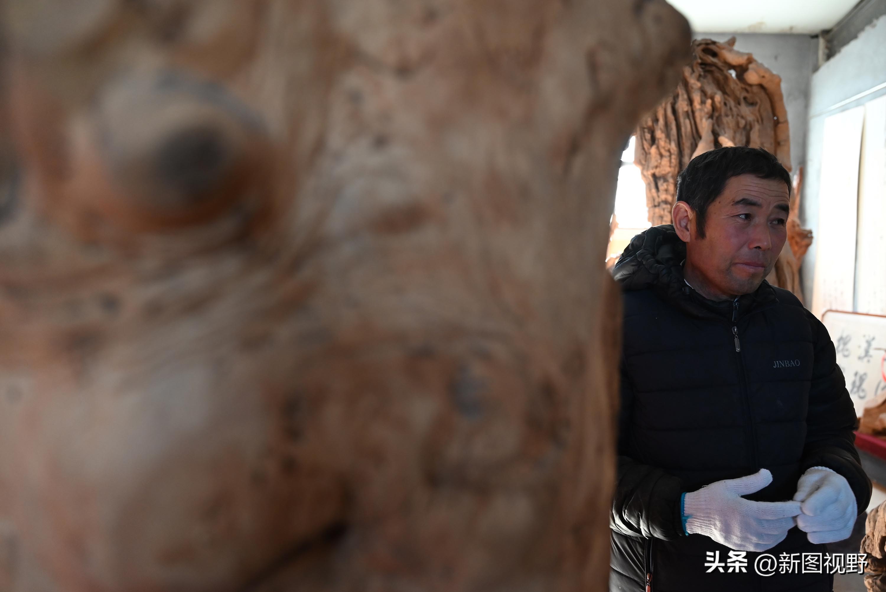 55岁农民，花60万买了一堆古树，每天做着发财梦，睡到自然醒