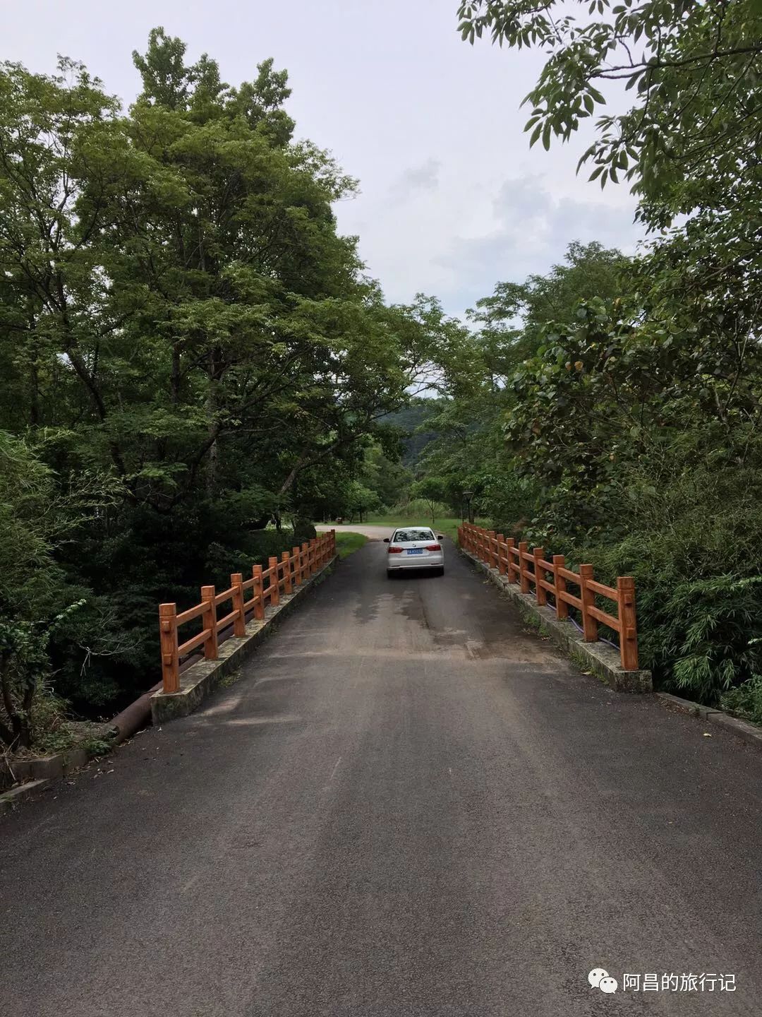 广西十万大山国家森林公园,广西十万大山国家森林公园图片