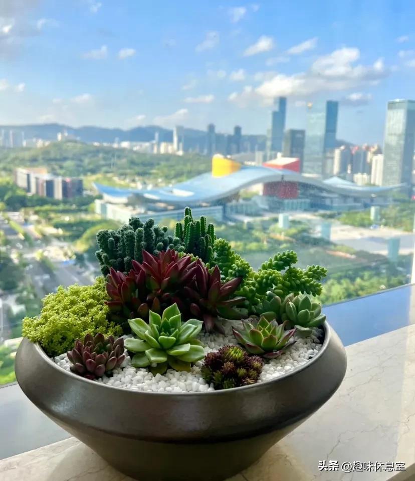 心理测试你喜欢哪种花,心理测试你更喜欢哪个色块