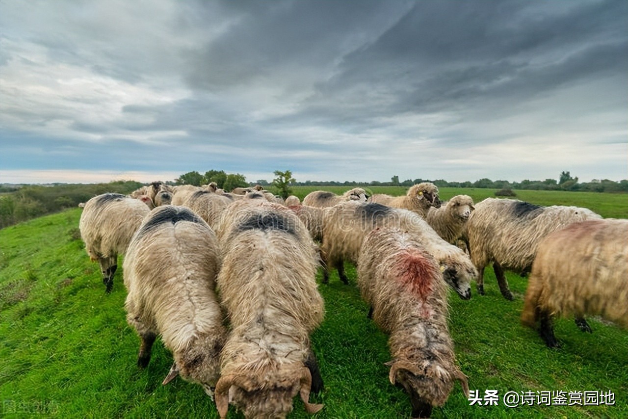 鍏充簬鐜嬬淮鐨勭敯鍥鏅瘲,鐜嬬淮灞辨按鐢板洯璇楃殑鎰忓