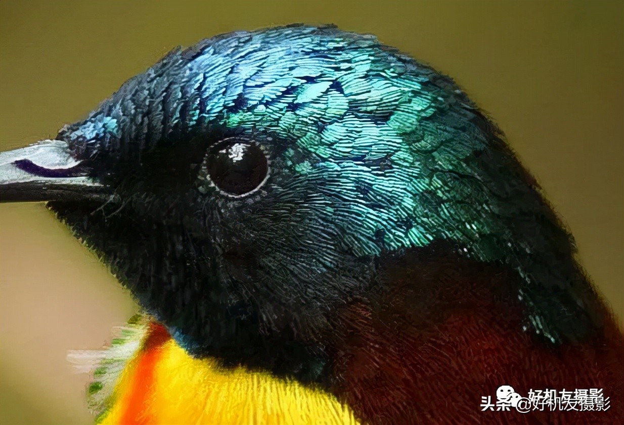 手机拍照片怎么拍出质感风景,拍的照片没有质感