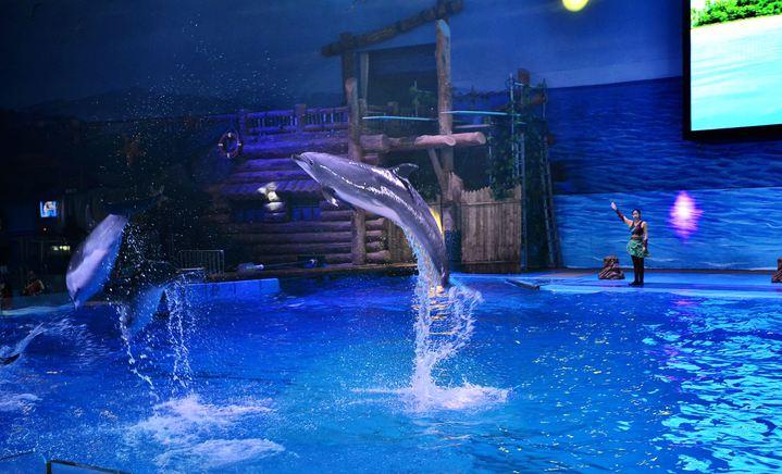 大连旅游赶海景点推荐,大连必去旅游攻略