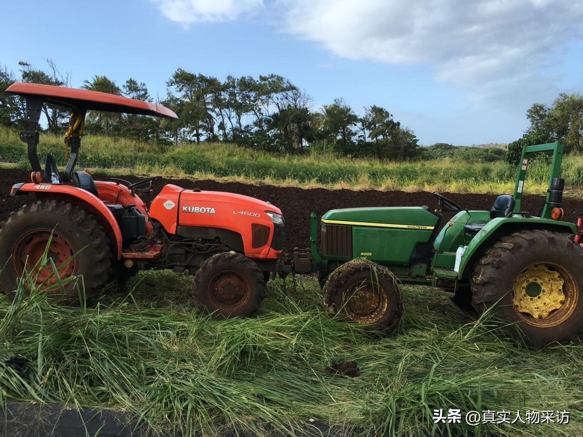 在美国，卡车司机是华人圈里香饽饽，月薪4千美元，但入行需谨慎